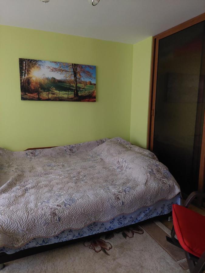 Fely Room Petroşani Exterior foto